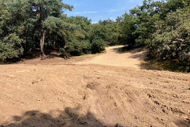 Drukbezocht recreatiegebied Kirkelsberg in Roggel omgeploegd: Gemeente Leudal doet aangifte
